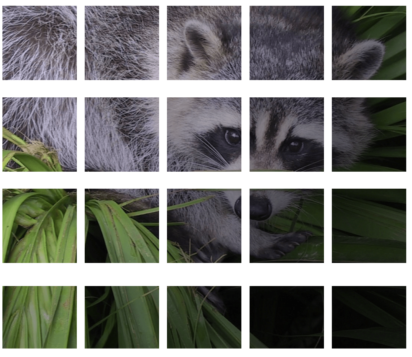 Image from Scipy under BSD License Chopped raccoon img